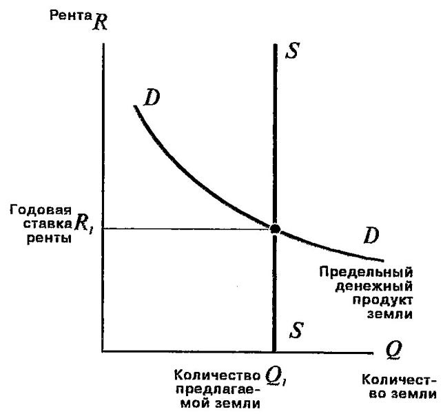 Чистая экономическая рента